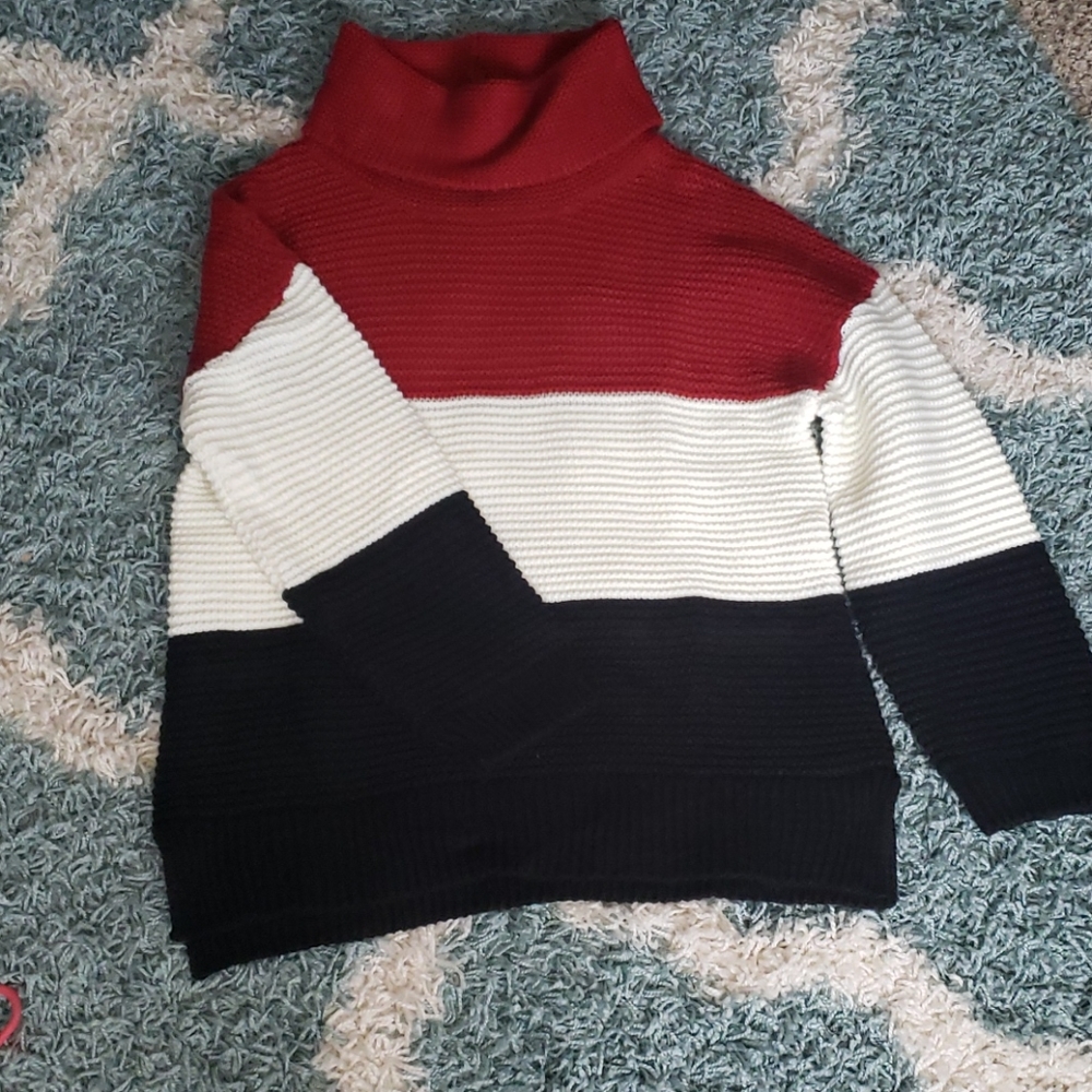 Comfy Oversized Turle Neck Knit
